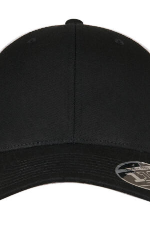 110 Mesh 2-Tone Cap