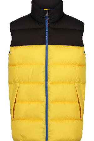 Vintage Puffer Vest