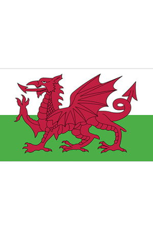 Fahne Wales