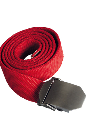 Workwear Belt Classic