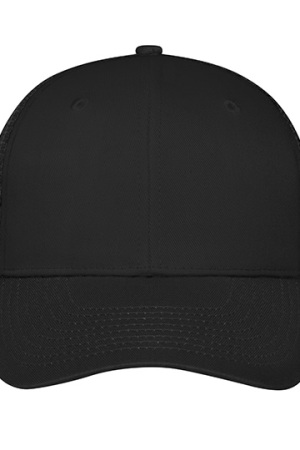 6 Panel Mesh Cap