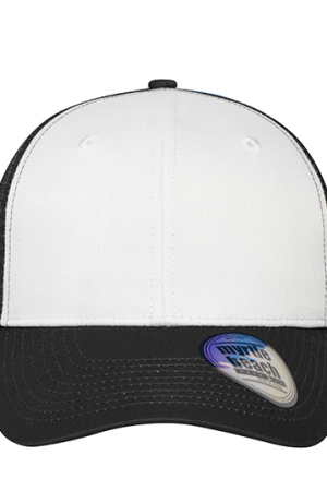 6 Panel Mesh Cap