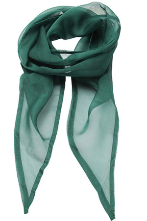 Womens Colour Chiffon Scarf