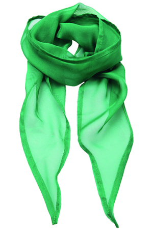 Womens Colour Chiffon Scarf