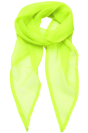 Womens Colour Chiffon Scarf