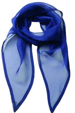 Womens Colour Chiffon Scarf