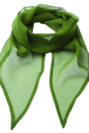 Womens Colour Chiffon Scarf