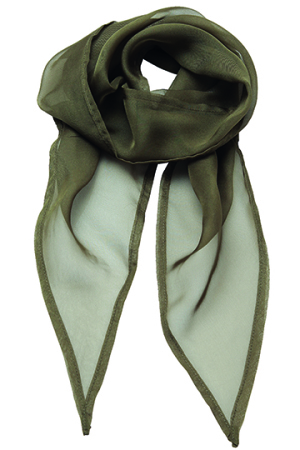 Womens Colour Chiffon Scarf