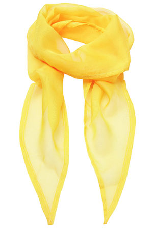 Womens Colour Chiffon Scarf