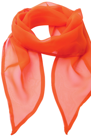 Womens Colour Chiffon Scarf